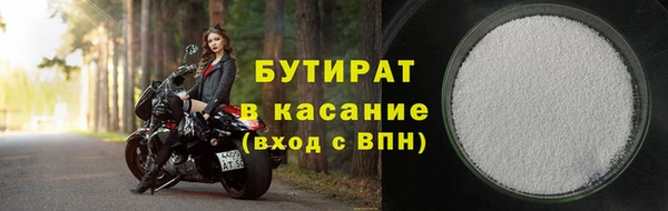 прущие грибы Богданович