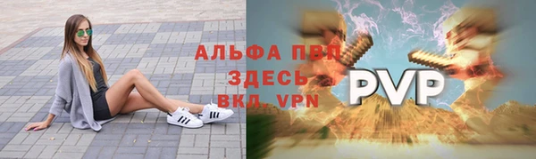 СК Верея