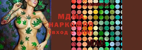 индика Беломорск