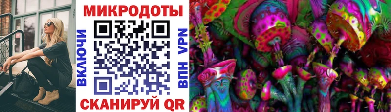 Галлюциногенные грибы MAGIC MUSHROOMS  где найти наркотики  Гай 