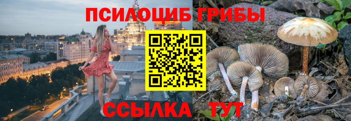 Псилоцибиновые грибы Cubensis  сколько стоит  Вход с VPN  Гай  Галлюциногенные грибы GOLDEN TEACHER 