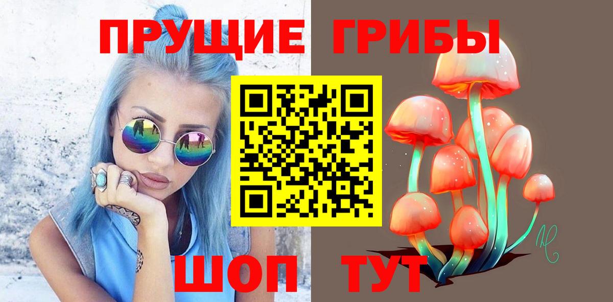 Галлюциногенные грибы мицелий Гай